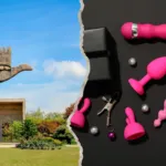 The Ultimate Guide to Buying Sex Toys in Chandigarh with 100% Privacy