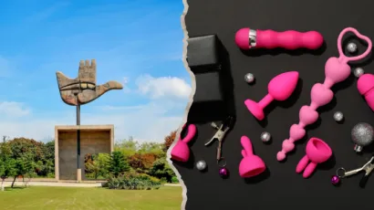 Split screen graphic featuring the iconic Open Hand Monument of Chandigarh on the left, and an array of premium pink silicone adult toys and massagers on a sleek black background on the right.