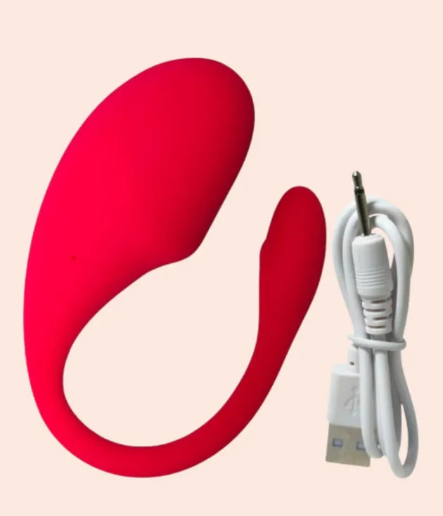 Flamingo Smart App Control Vibrator